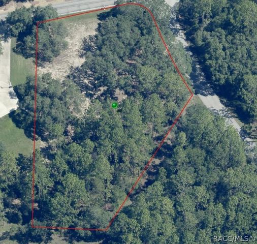 3817 N Indianhead Road, Hernando, FL 34442