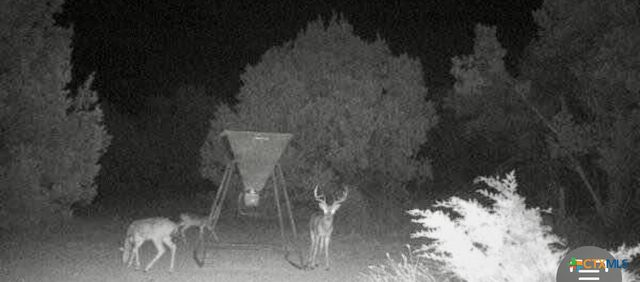 875 County Road 231, Lampasas, TX 76550