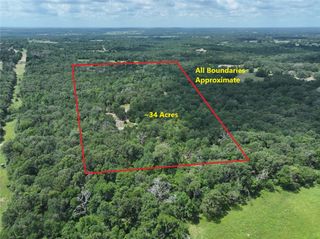 300 CR 431 Road, Fairfield, TX 75840