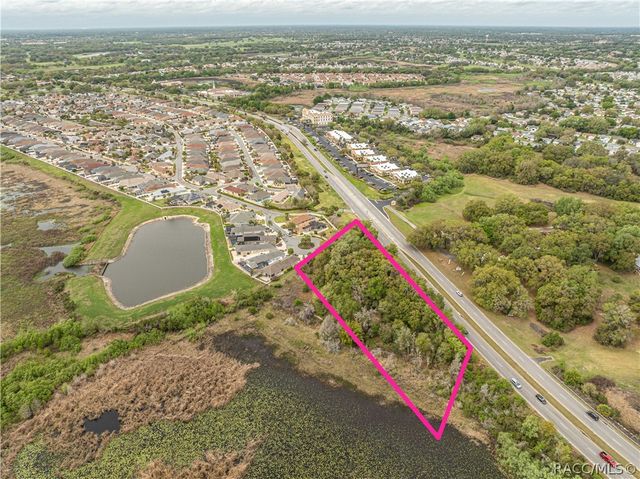 8769 E County Road 466 Road, Lady Lake, FL 32159