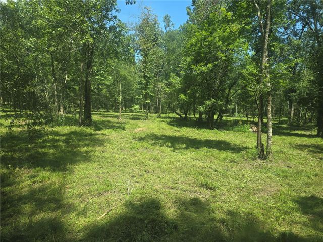 TBD Tymel Lane, Cleveland, TX 77328