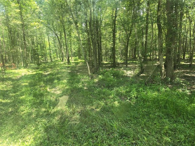 TBD Tymel Lane, Cleveland, TX 77328