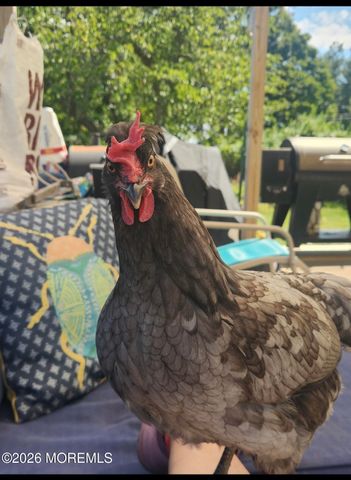 3024 W Bangs Avenue, Neptune Township, NJ 07753