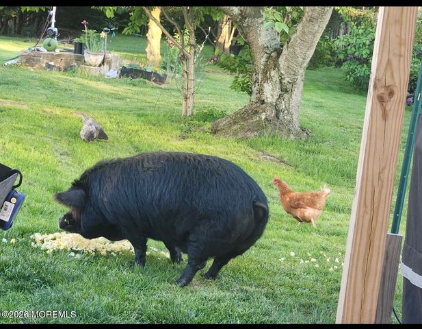 3024 W Bangs Avenue, Neptune Township, NJ 07753