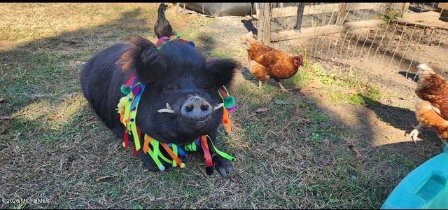 3024 W Bangs Avenue, Neptune Township, NJ 07753