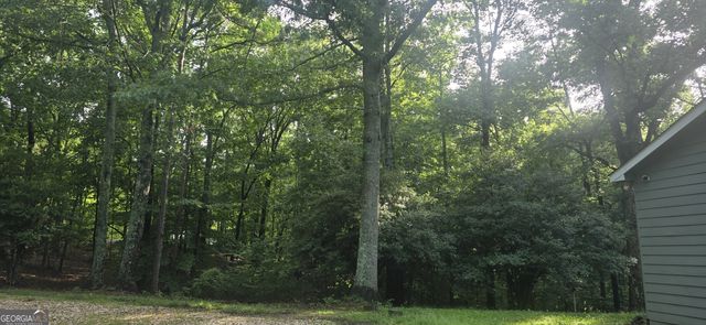 585 Lee Drive, Acworth, GA 30102