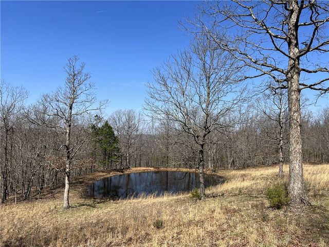 483 NC 8060, Jasper, AR 72641
