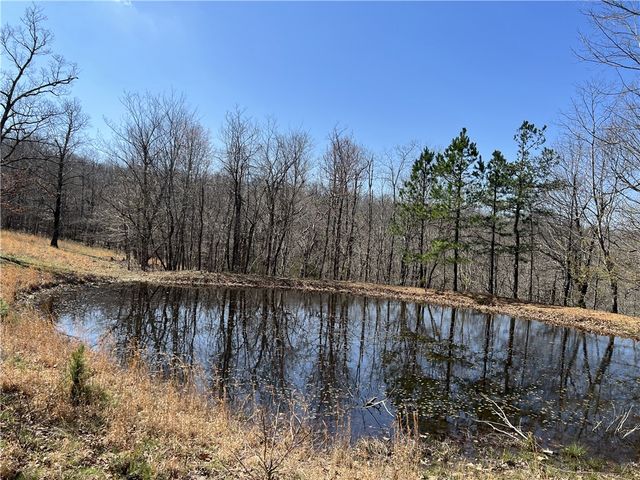 483 NC 8060, Jasper, AR 72641