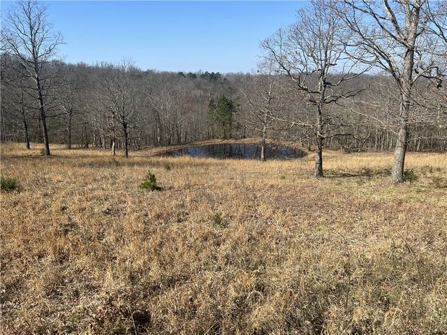 483 NC 8060, Jasper, AR 72641