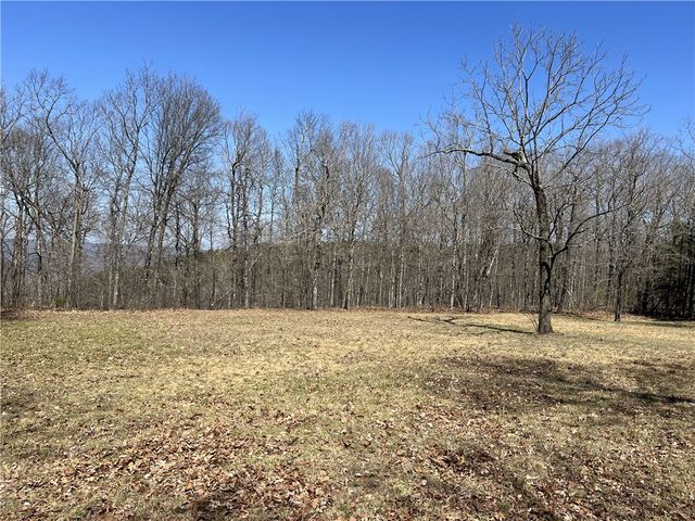 483 NC 8060, Jasper, AR 72641