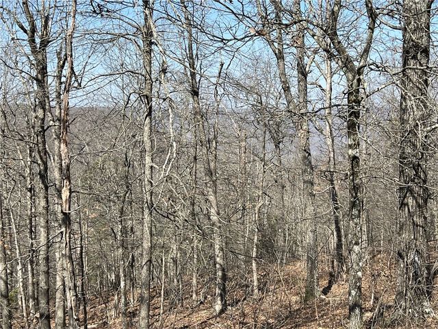 483 NC 8060, Jasper, AR 72641