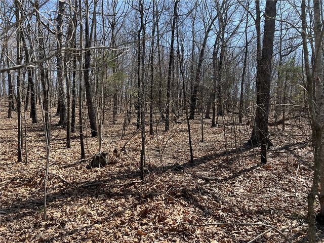 483 NC 8060, Jasper, AR 72641