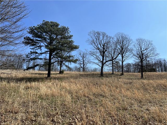 483 NC 8060, Jasper, AR 72641