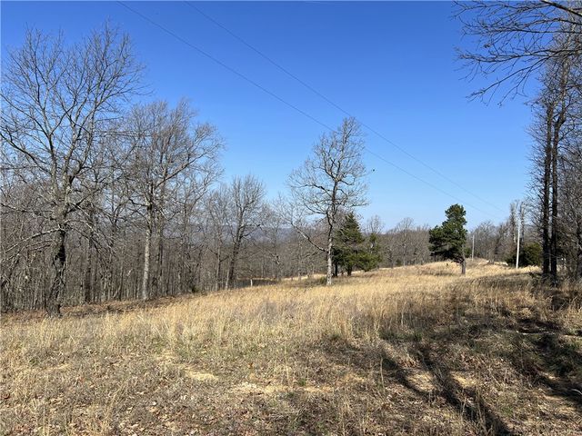 483 NC 8060, Jasper, AR 72641