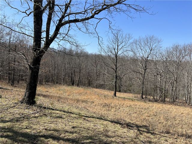 483 NC 8060, Jasper, AR 72641