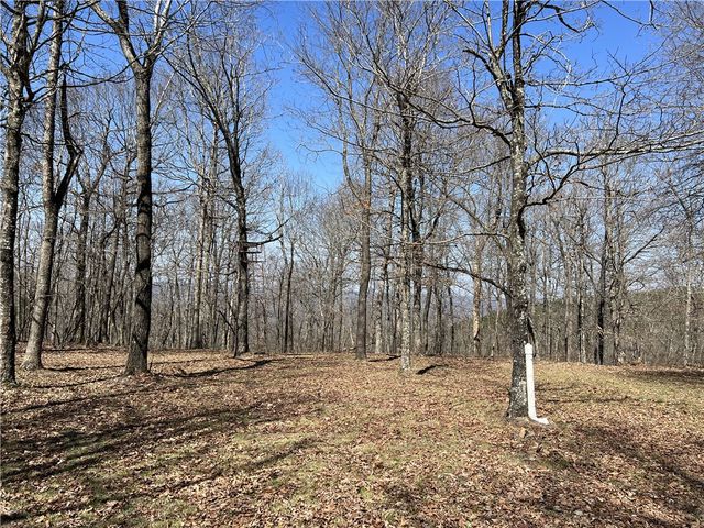 483 NC 8060, Jasper, AR 72641