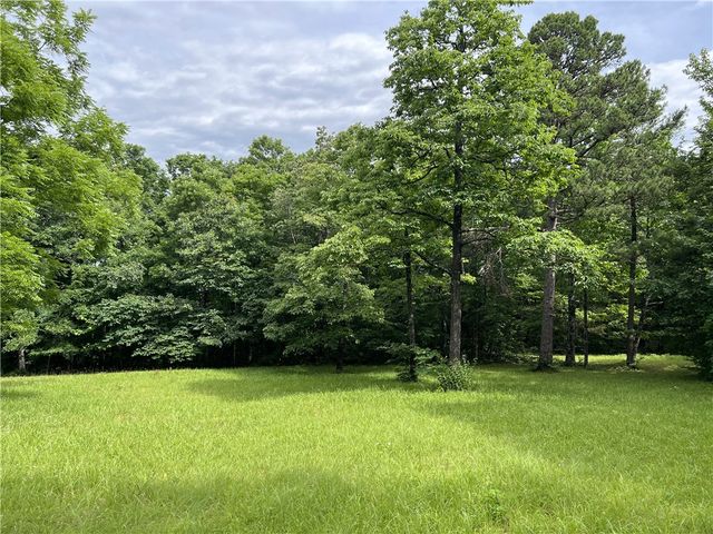 483 NC 8060, Jasper, AR 72641
