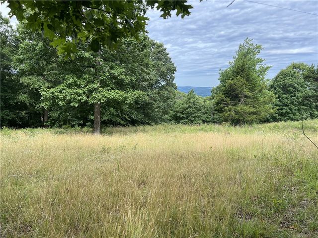 483 NC 8060, Jasper, AR 72641