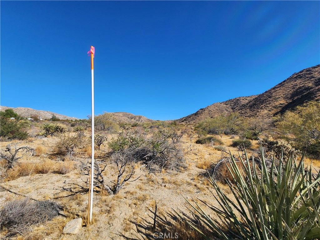 Image 10 of property listing at 29 Palms Highway, Morongo Valley, CA 92256