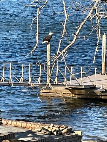 165 Lake Murray Terrace, Lexington, SC 29072