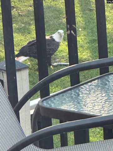 165 Lake Murray Terrace, Lexington, SC 29072