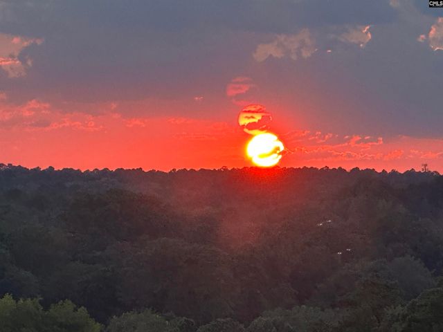 165 Lake Murray Terrace, Lexington, SC 29072