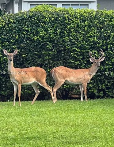 28 Golden Eagle Dr, Okatie, SC 29909