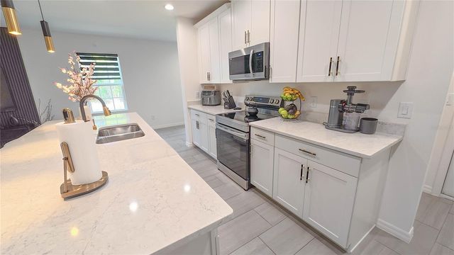 1619 CLOUDY COURT, St Cloud, FL 34769