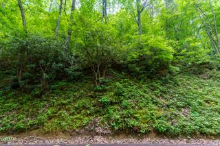 Lot 10 Zurich Road, Gatlinburg, TN 37738