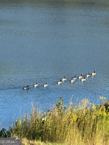 56 Fox Hollow Run, Newnan, GA 30263