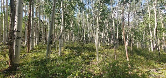 Lot 5837 Sheldon Road, Fort Garland, CO 81133