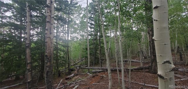 Lot 5837 Sheldon Road, Fort Garland, CO 81133