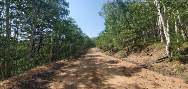 Lot 5837 Sheldon Road, Fort Garland, CO 81133