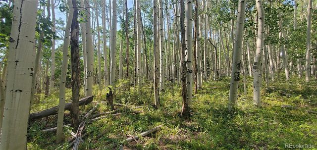 Lot 5837 Sheldon Road, Fort Garland, CO 81133