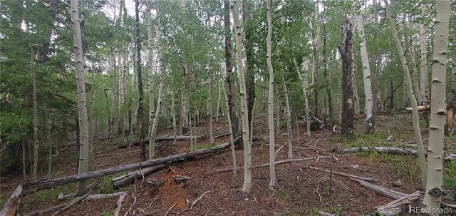 Lot 5837 Sheldon Road, Fort Garland, CO 81133