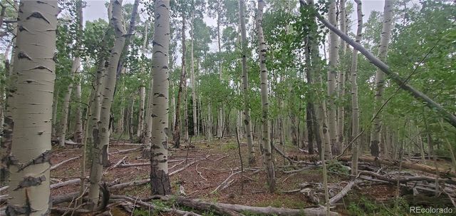 Lot 5837 Sheldon Road, Fort Garland, CO 81133