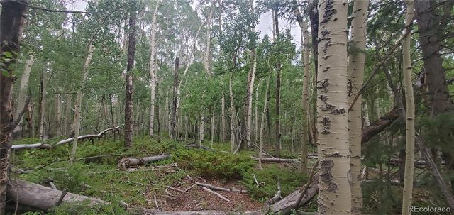 Lot 5837 Sheldon Road, Fort Garland, CO 81133