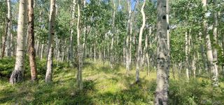 Lot 5837 Sheldon Road, Fort Garland, CO 81133