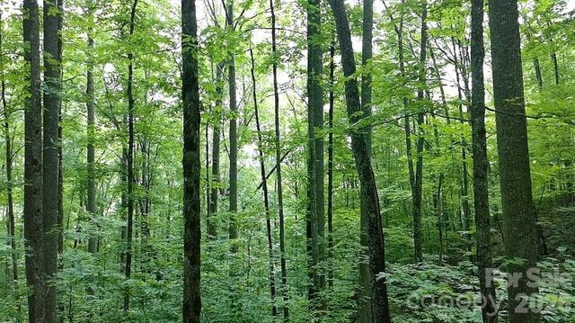 1873 Unahala Creek Drive, Bryson City, NC 28713