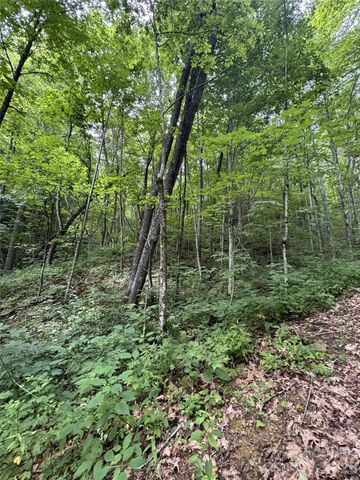 1873 Unahala Creek Drive, Bryson City, NC 28713