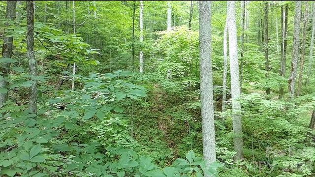 1873 Unahala Creek Drive, Bryson City, NC 28713