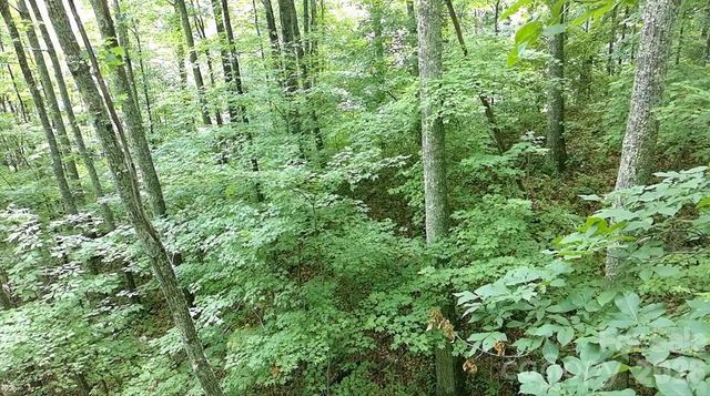 1873 Unahala Creek Drive, Bryson City, NC 28713