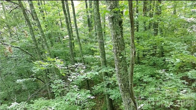 1873 Unahala Creek Drive, Bryson City, NC 28713