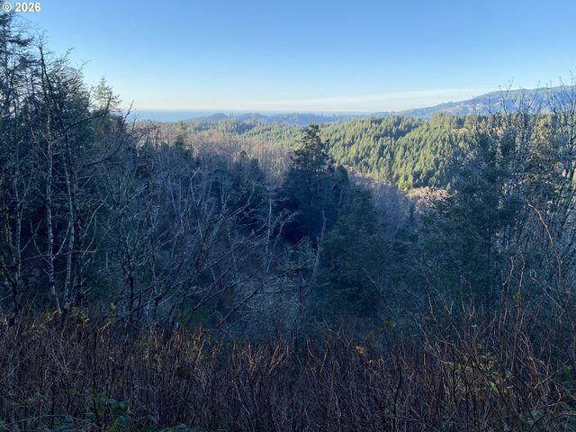 96477 CAPE FERRELO Rd, Brookings, OR 97415