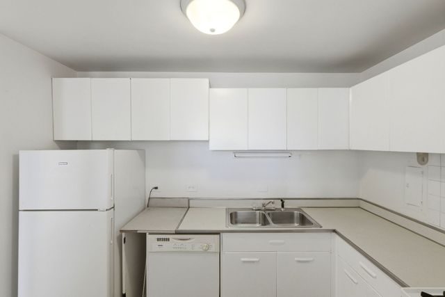1451 E 55th Street 417N, Chicago, IL 60615