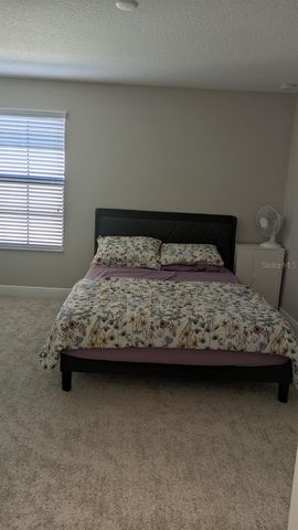 14698 HORSE TROT ROAD, Lithia, FL 33547