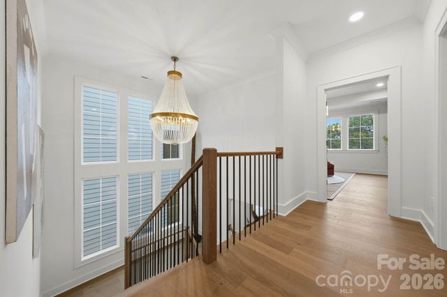 1117 Lomax Avenue, Charlotte, NC 28211
