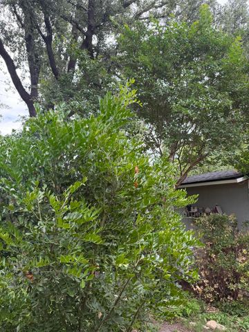 2704 W Twohig Avenue, San Angelo, TX 76901