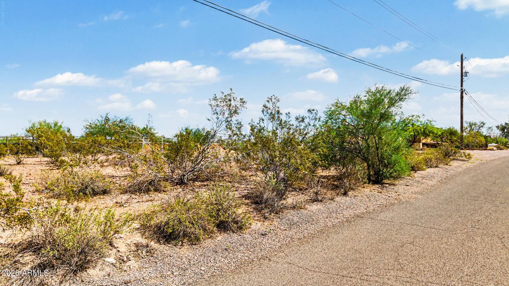 319 S MULESHOE Road 016D, Apache Junction, AZ 85119 — photo 3