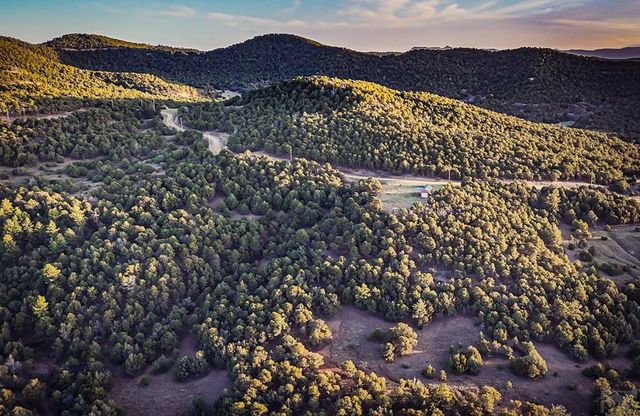 TBD Spanish Peaks Dr, Walsenburg, CO 81089